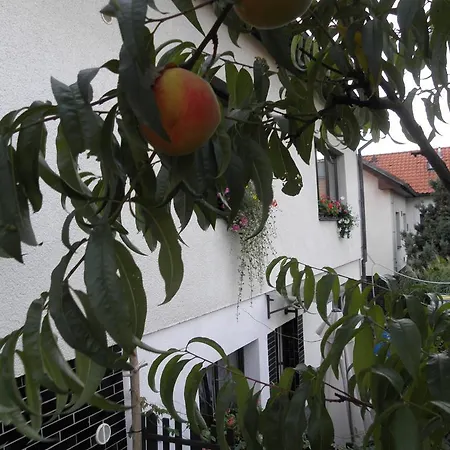 Svaty Krystof Guest house
